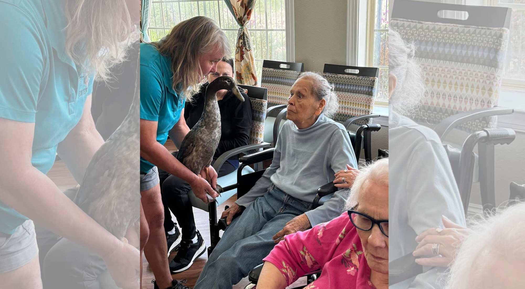 duck visit at The Landing at Stone Oak Memory Care in San Antonio, Texas