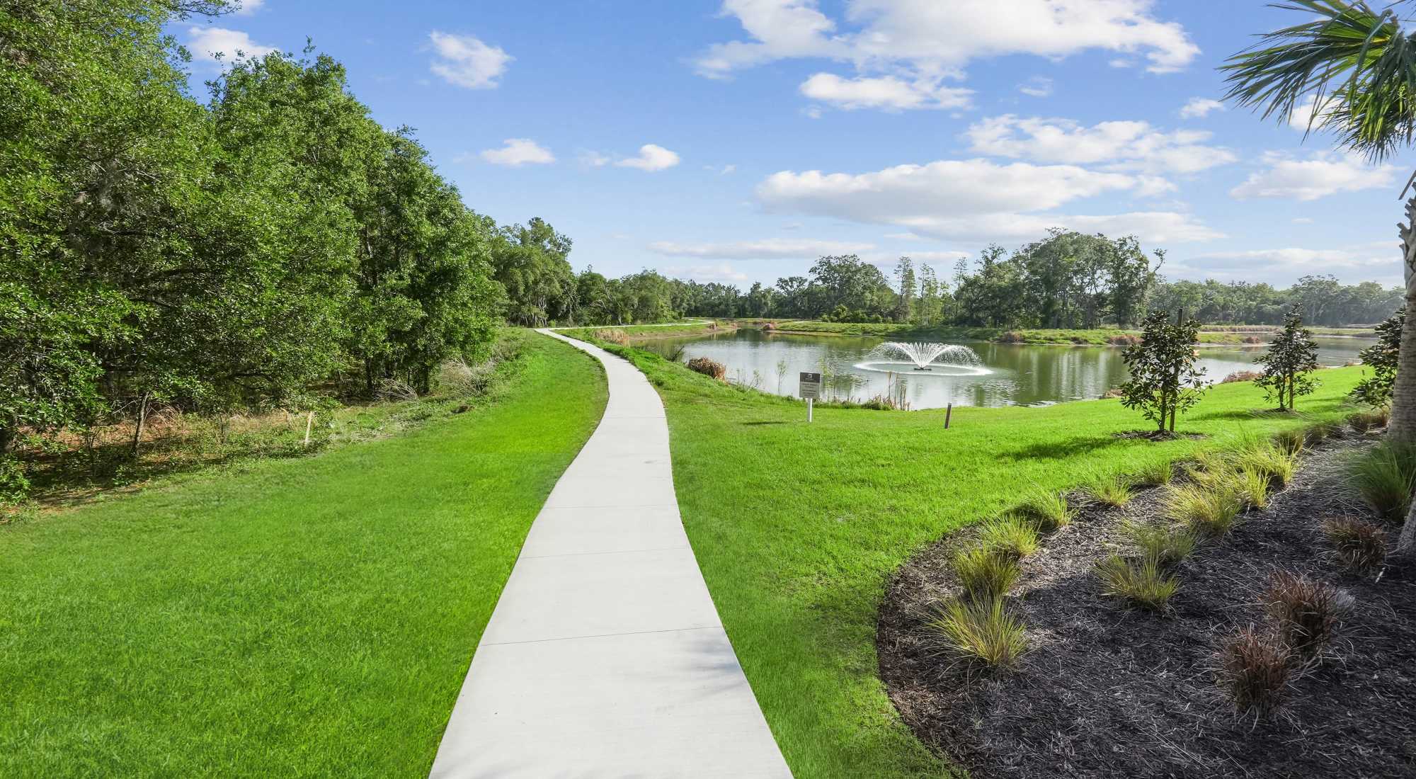 Pet Friendly | Mosby at Avalon Park in Wesley Chapel, Florida