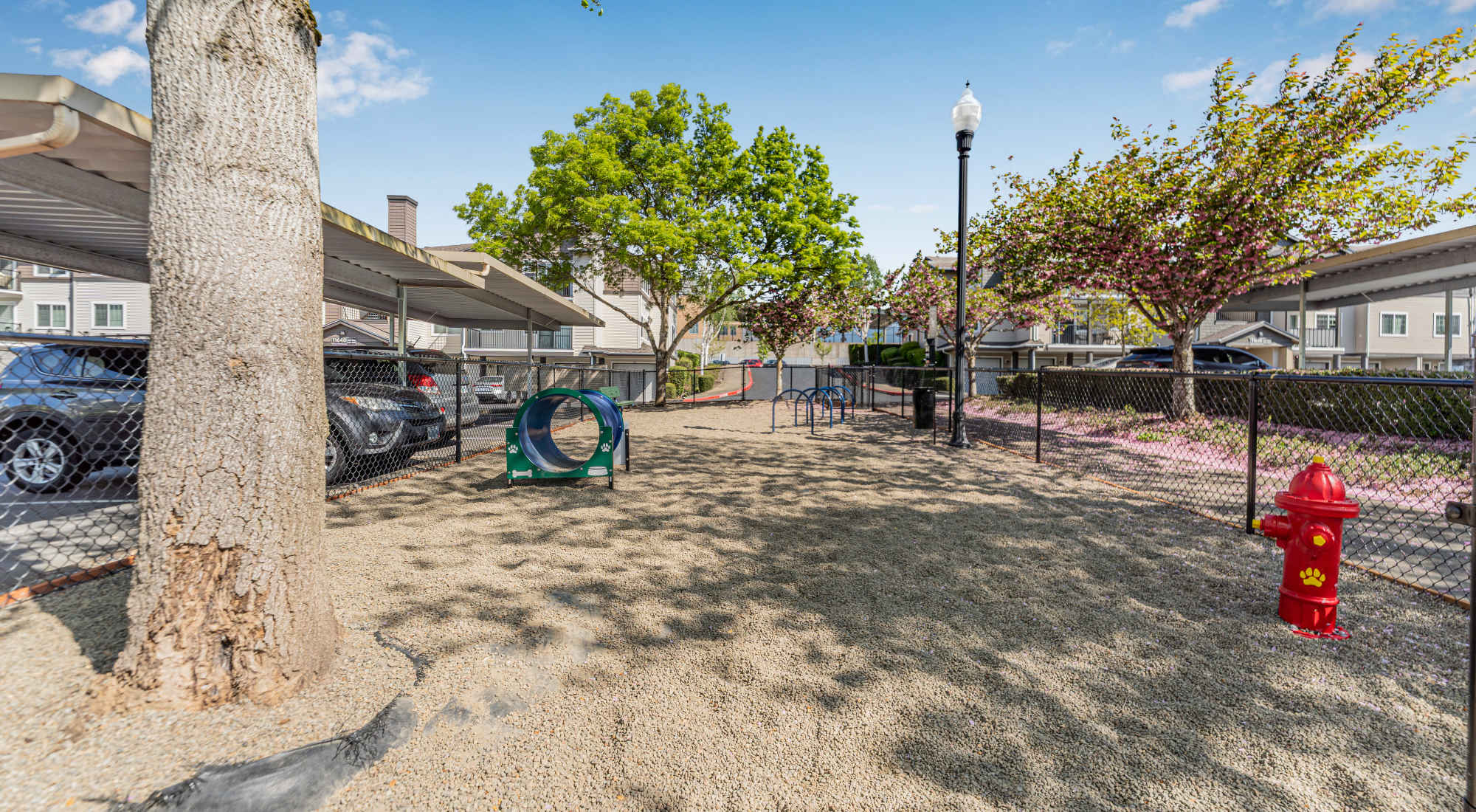 Pet-friendly apartments at Sofi at Cedar Mill in Portland, Oregon
