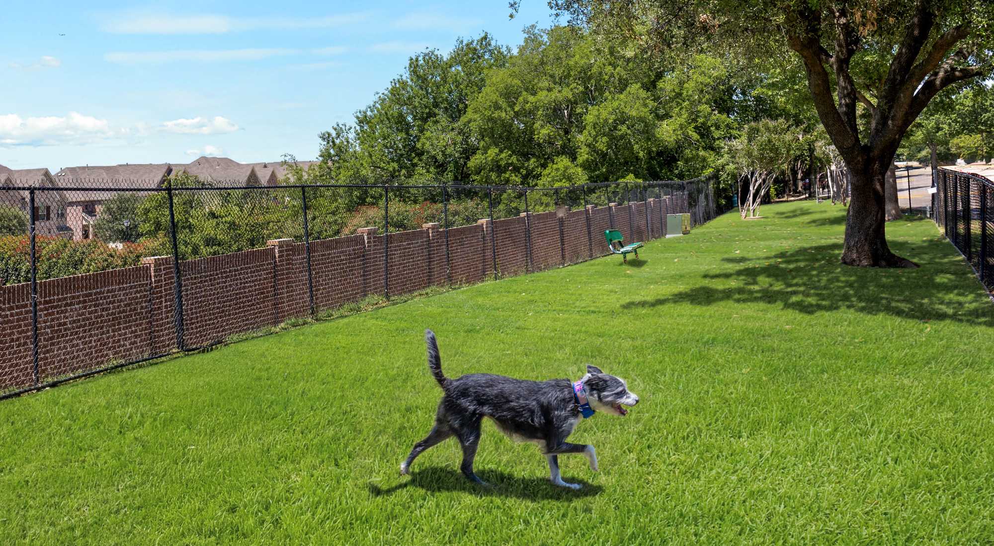 Dog Park at Ballantyne