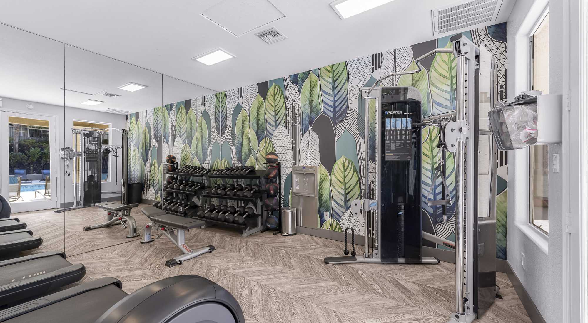 Amenities at Sofi Canyon Hills in San Diego, California
