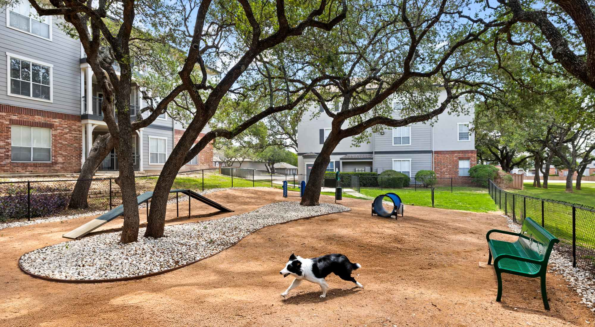 Dog Park