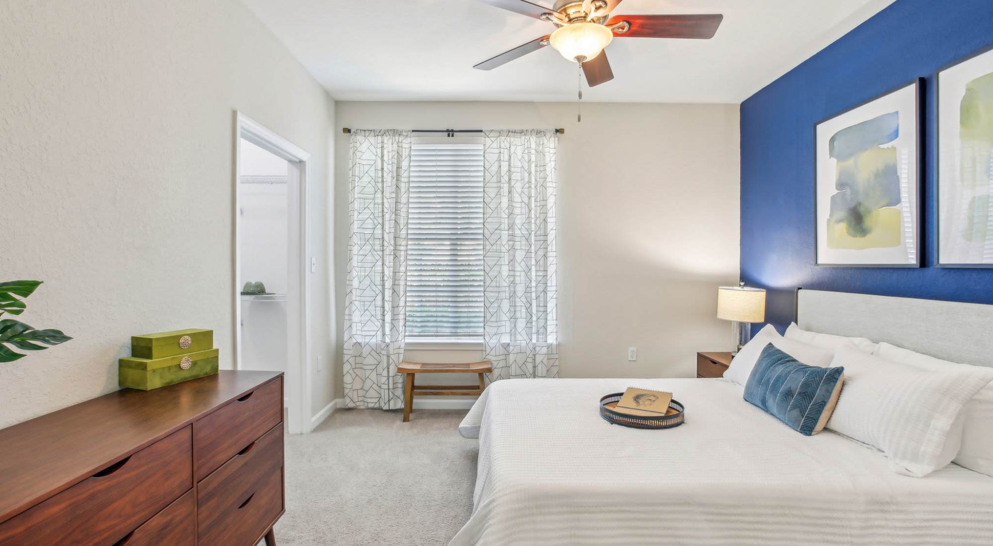 Contact Us | Sole at Citrus Park in Tampa, Florida