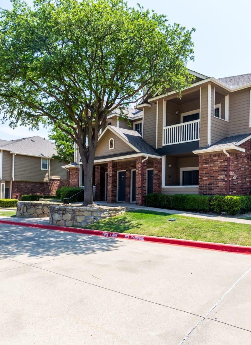 Lush landscaping at Marquis at Stonebriar in Frisco, Texas