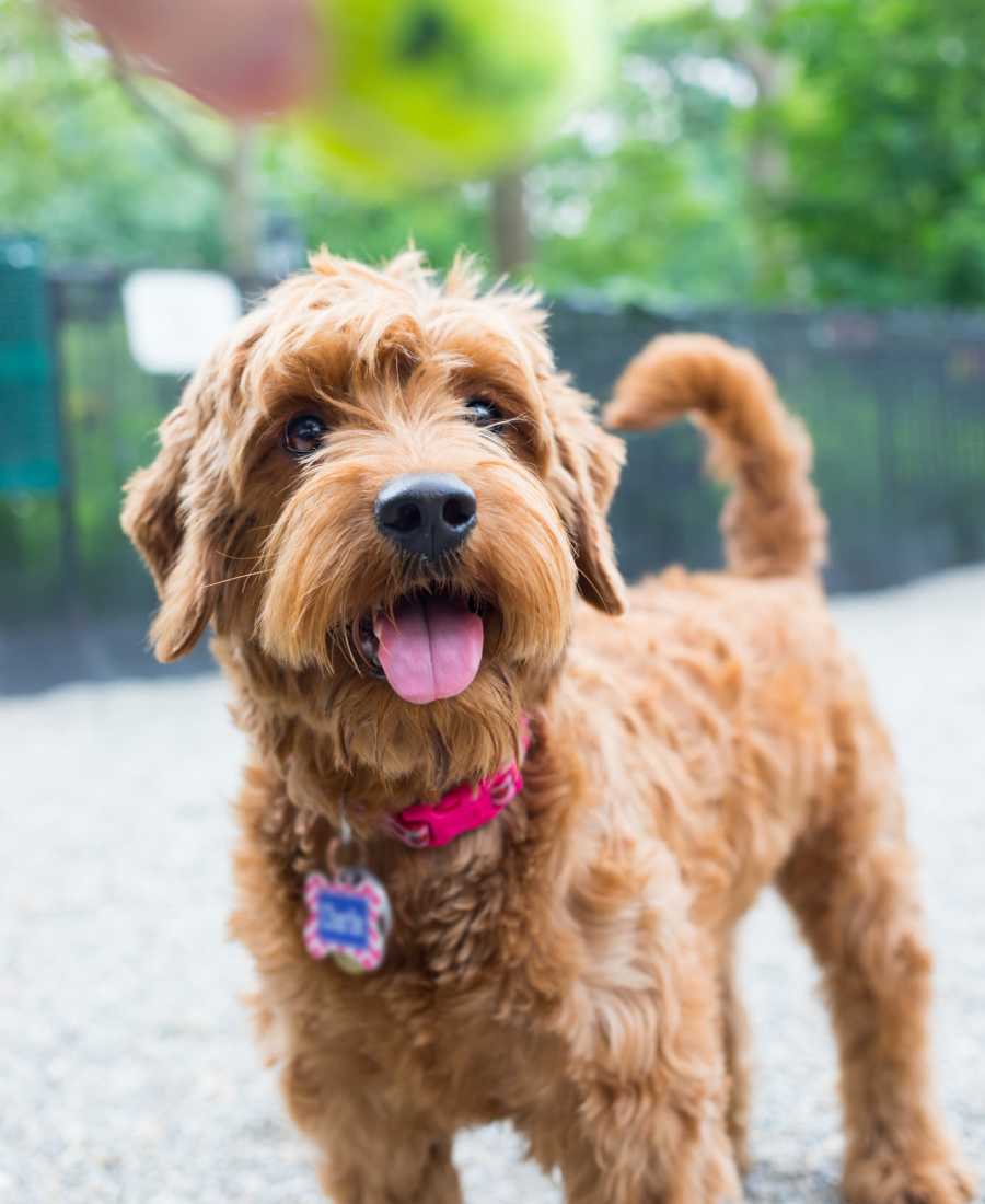 View amenities at Hamptons of Norton Shores in Norton Shores, Michigan