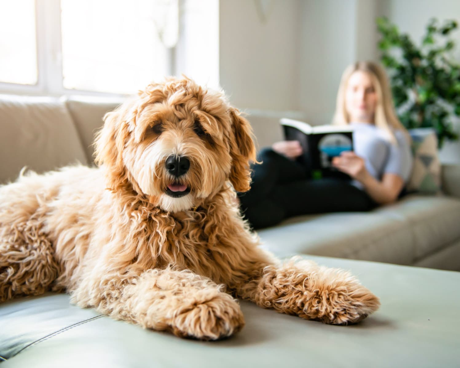 An owner with her pup at Audubon Village in Bridge City, Louisiana