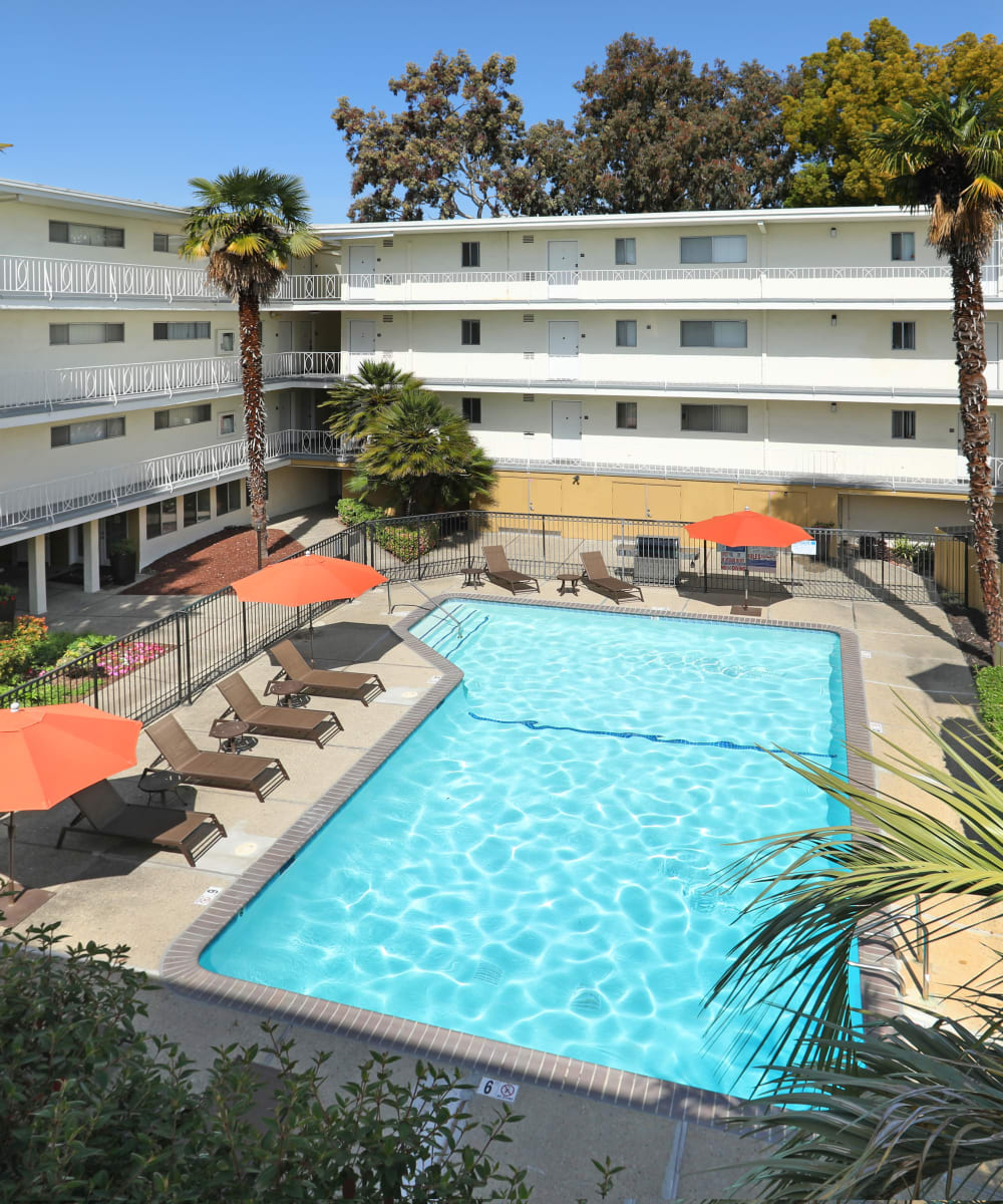 View of the resort-style swimming pool from an upper floor at Sofi Redwood Park in Redwood City, California