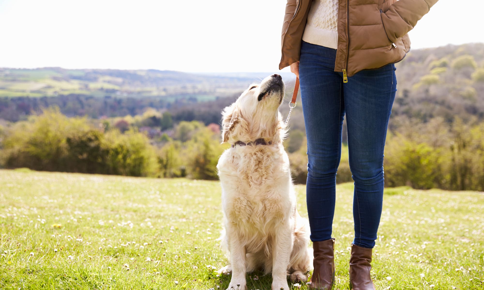 Learn more about our apartment community at Jasper Place in Beaverton