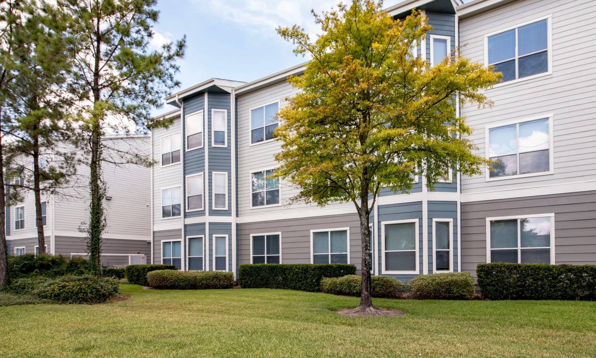 Apartments Near West Oaks Mall