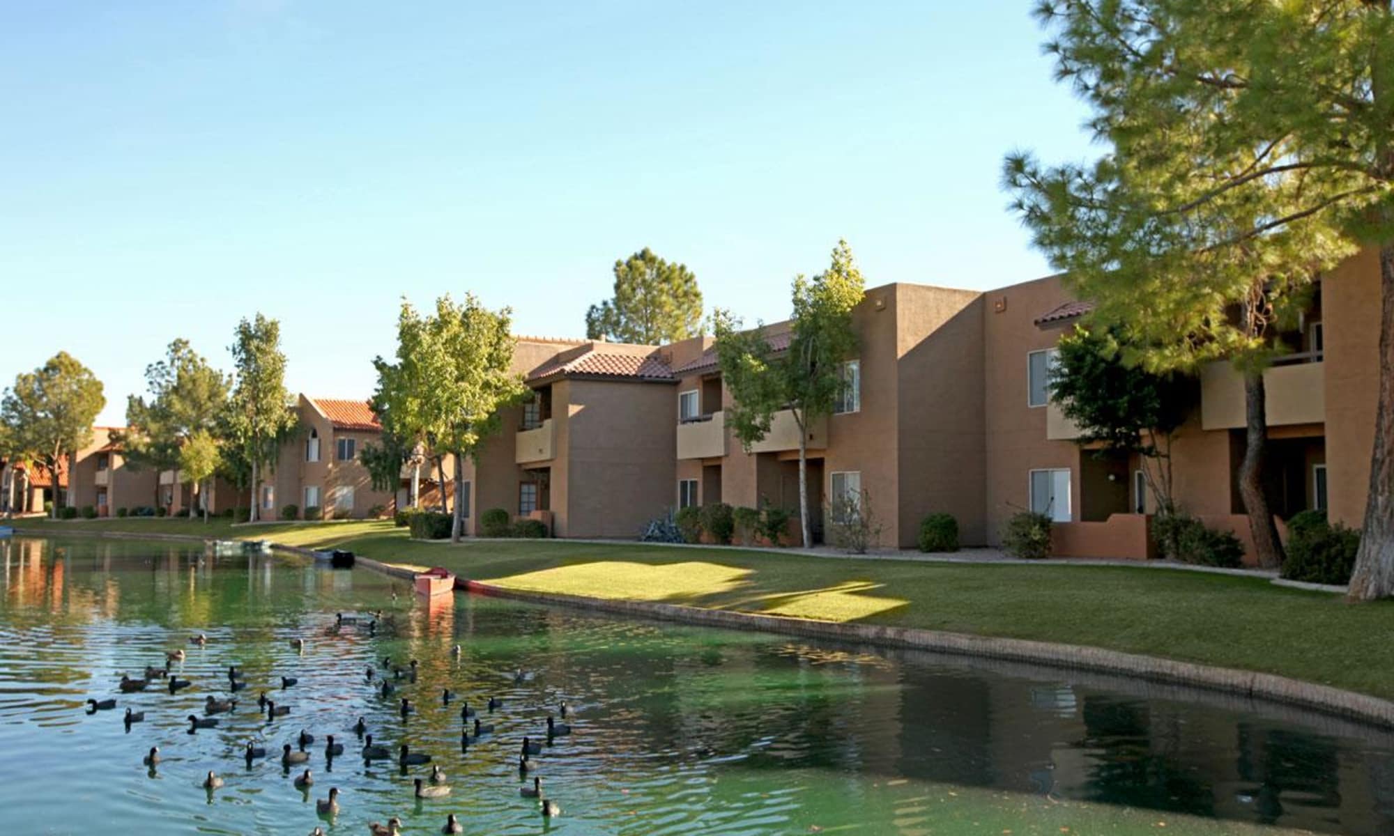 Gilbert Az Apartments Near Coral Point Alcove At The Islands