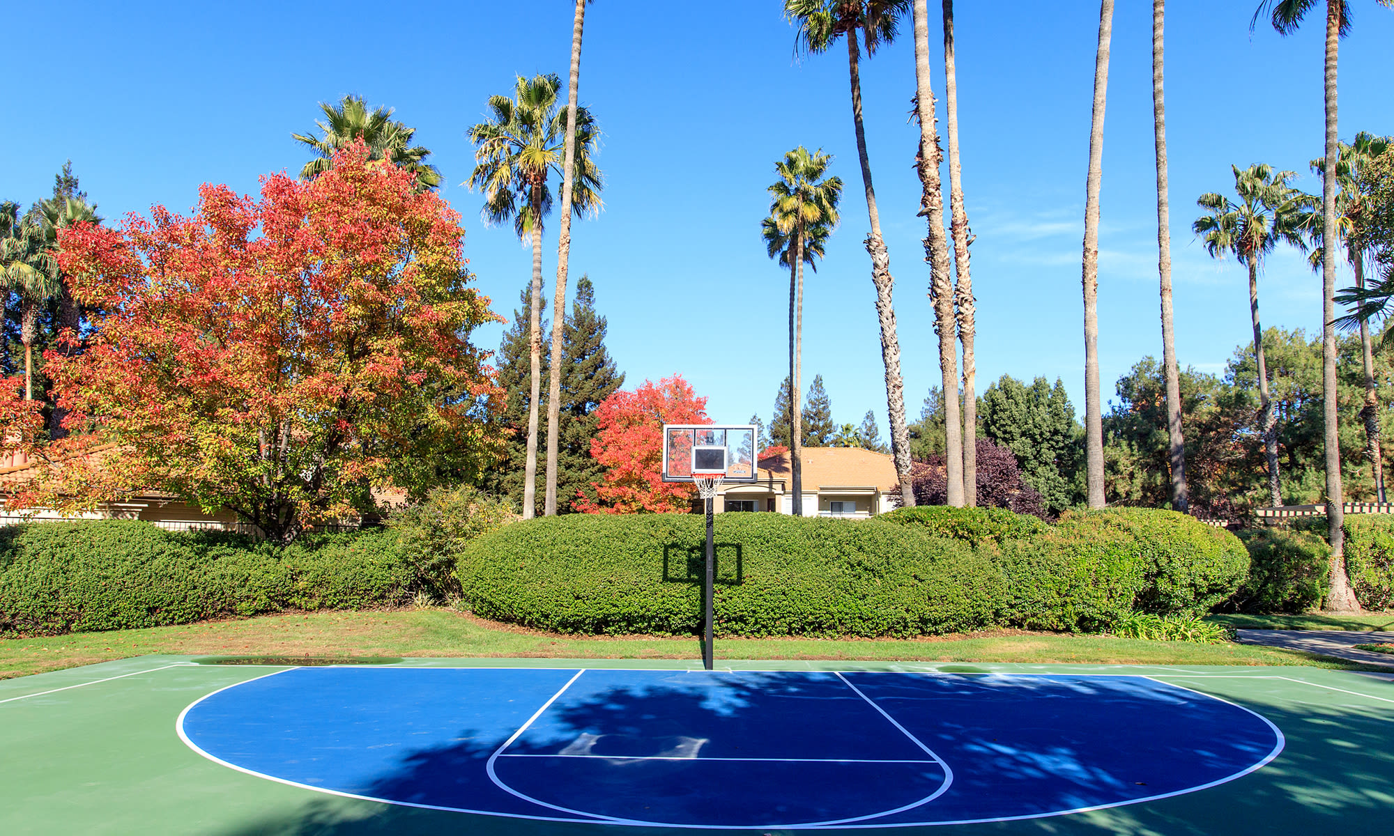 basketball court at Adagio in Sacramento, California