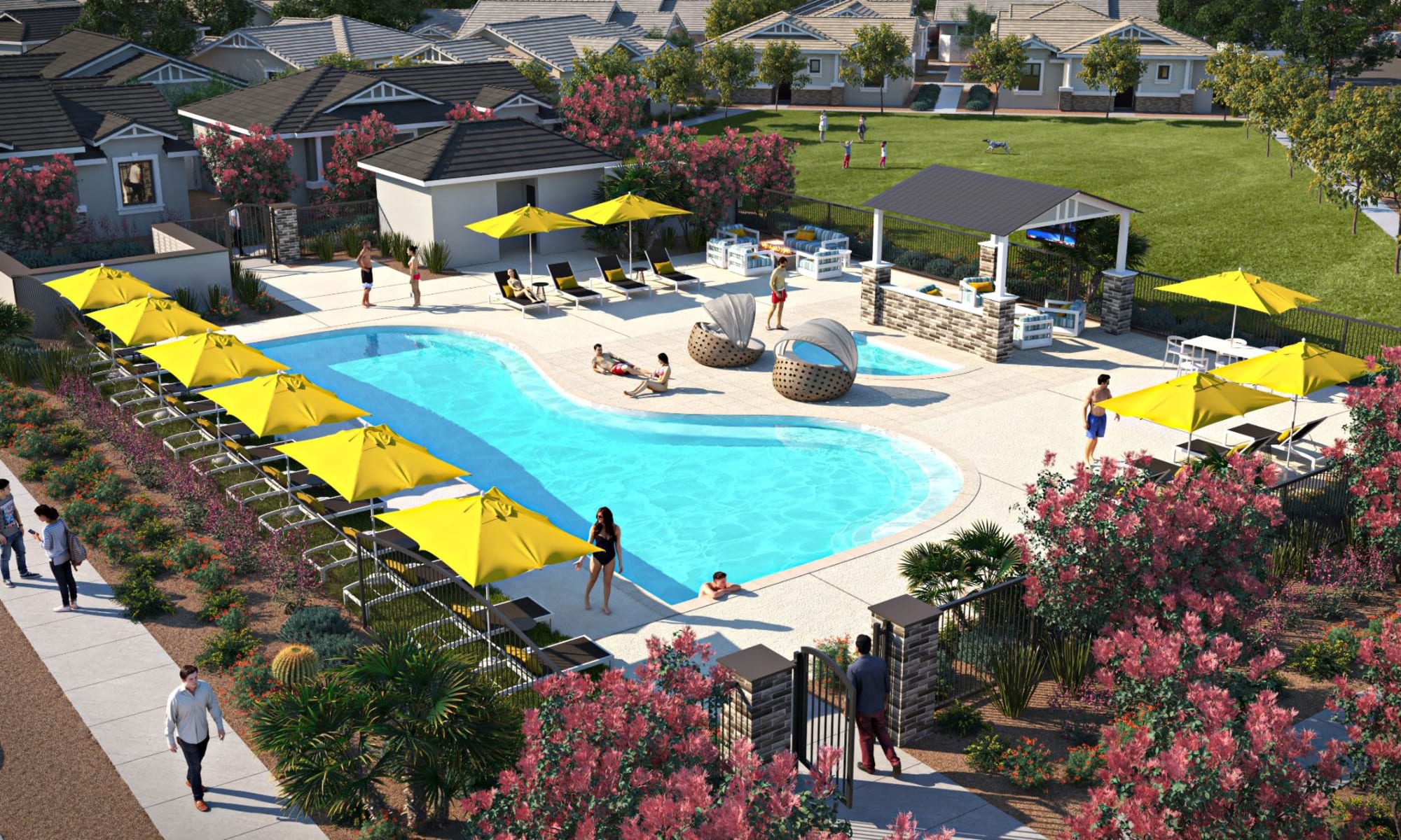 Rendering of resort style swimming pool at TerraLane at South Mountain in Phoenix, Arizona