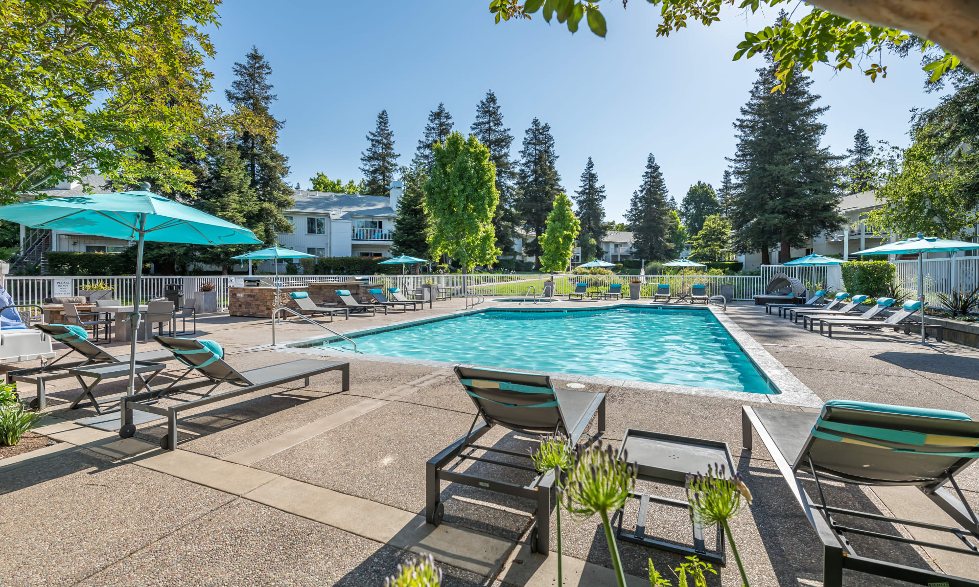 Photos of Cotton Wood Apartments in Dublin, California