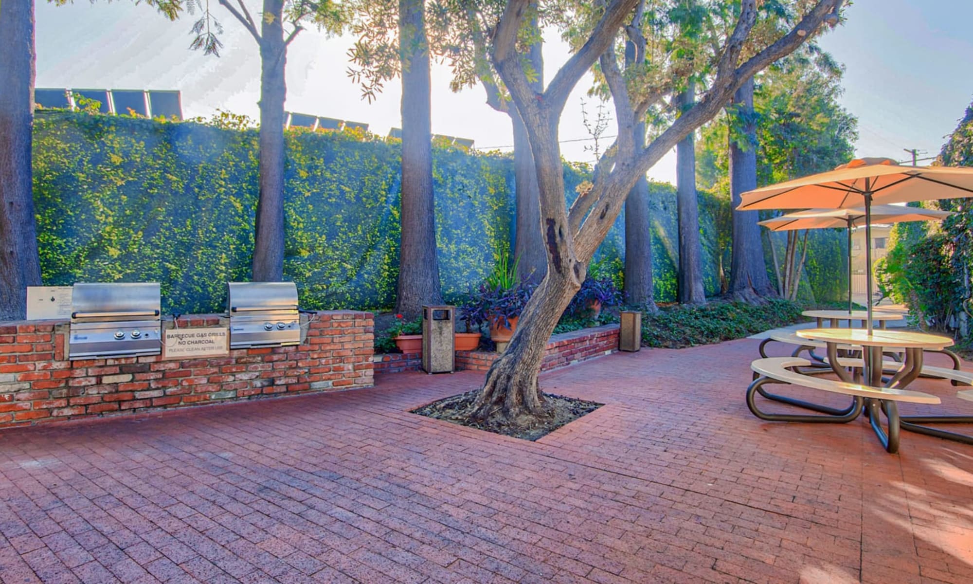 Barbecue area with a brick courtyard, gas grills and mature trees at Villa Vicente in Los Angeles, California