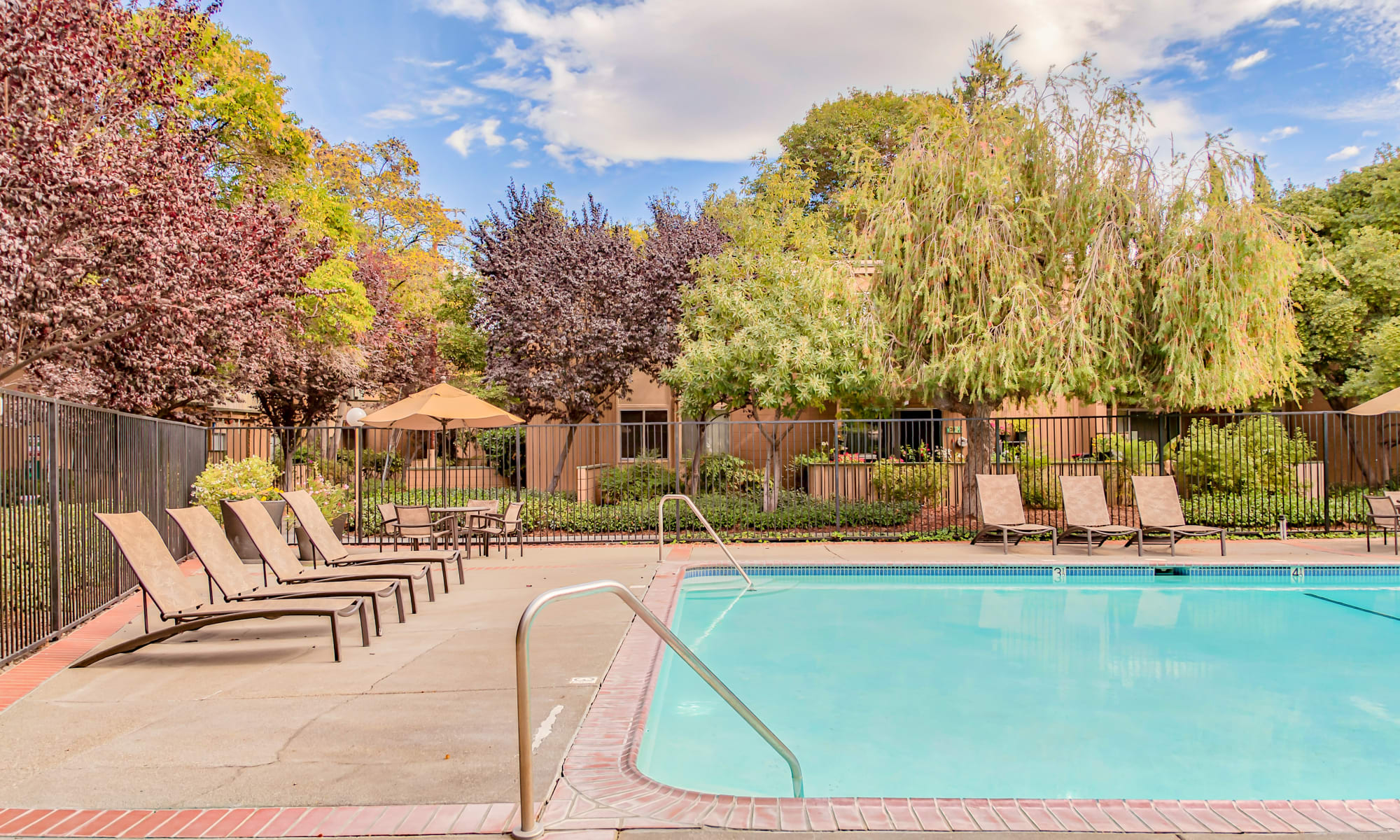 swimming pool at Greenpointe Apartment Homes in Santa Clara, California