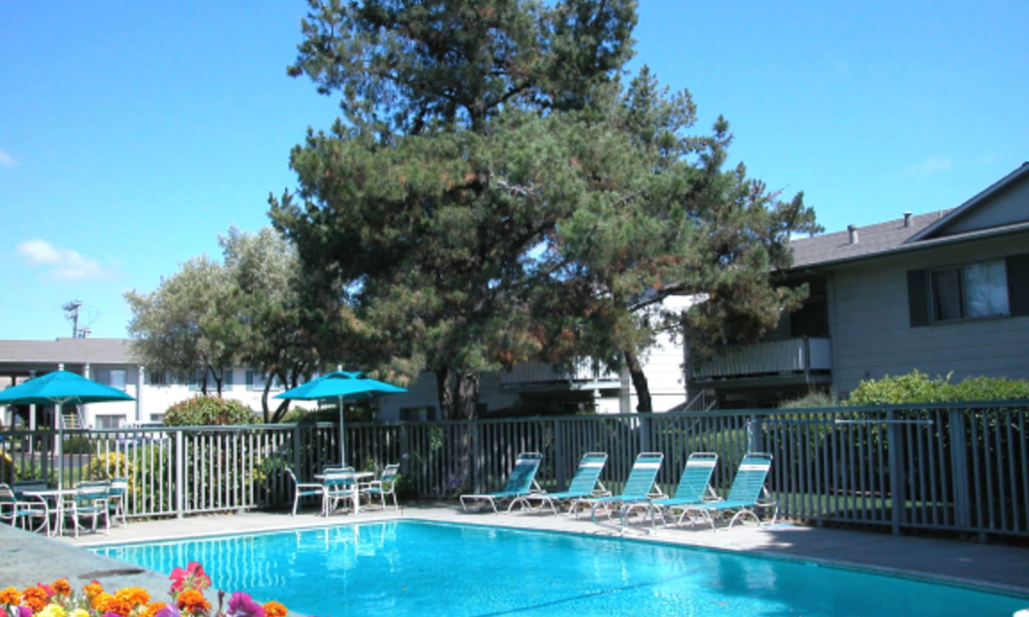 lounge chairs by the pool at Colonial Gardens in Fremont, California