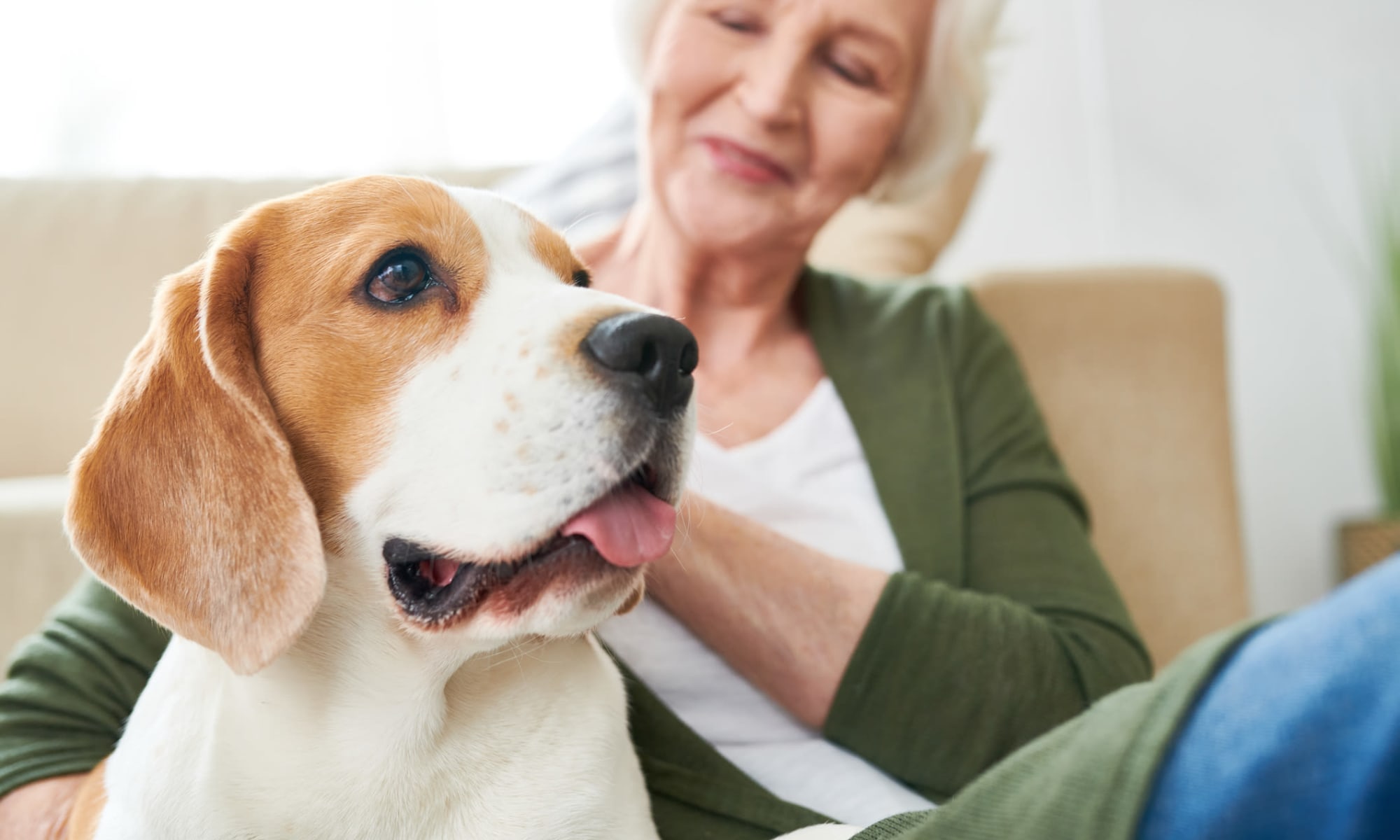 Woman with her dog at Wildcat Senior Living in Summerville, South Carolina