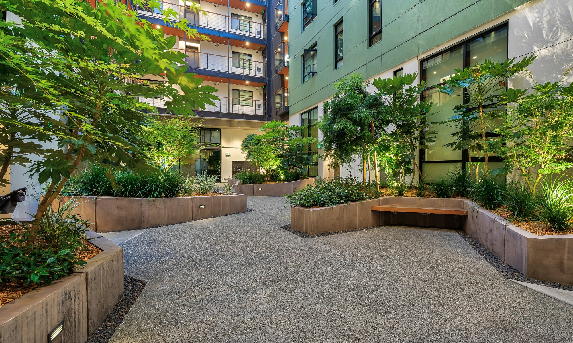 walkways under a canopy of concrete jungle at O&M in San Francisco, California