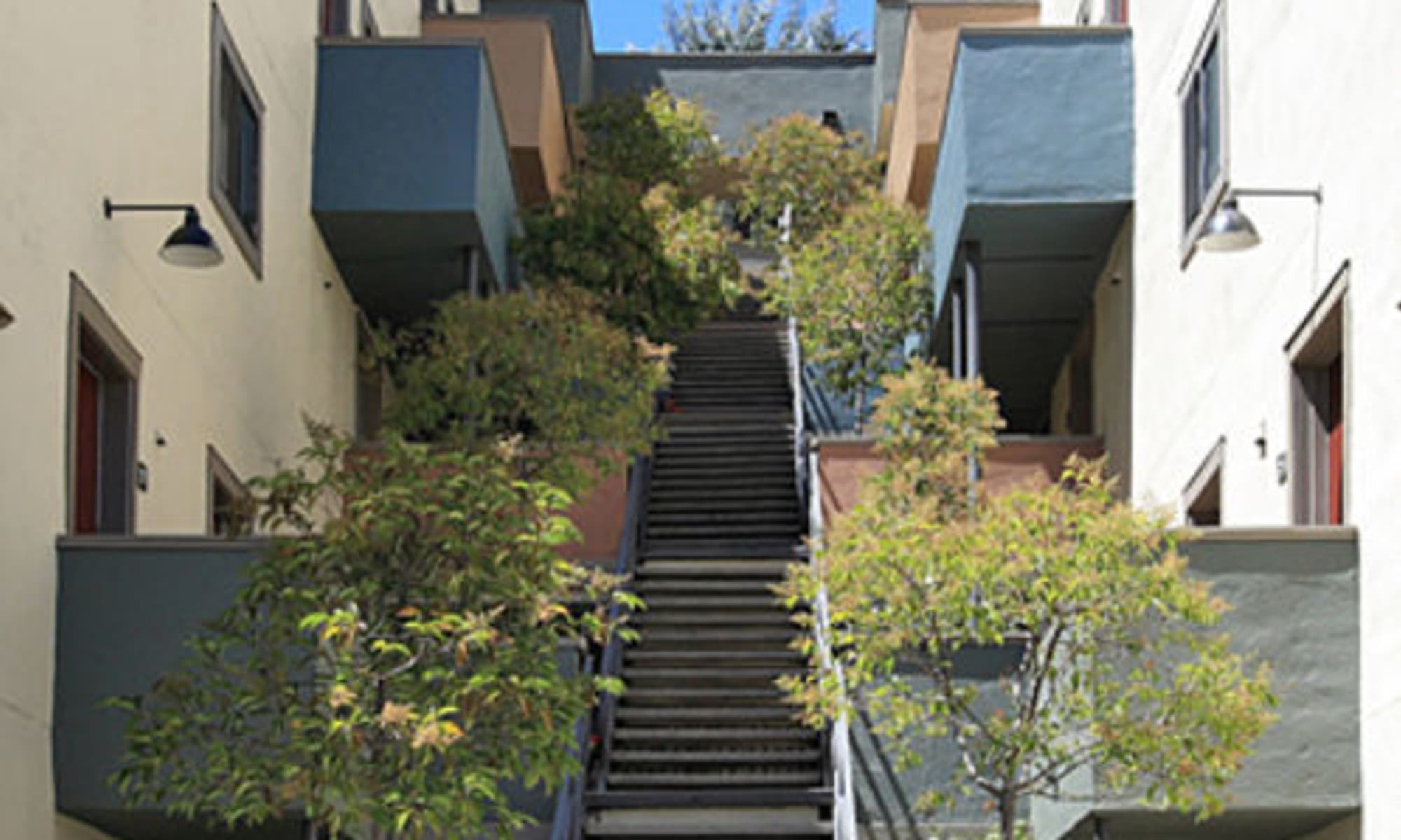 entrance stairs at Woodmont Apartments in Belmont, California