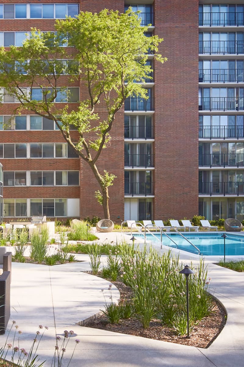 Exterior view of the pool and all the lounge chairs at Scio at the Medical District in Chicago, Illinois