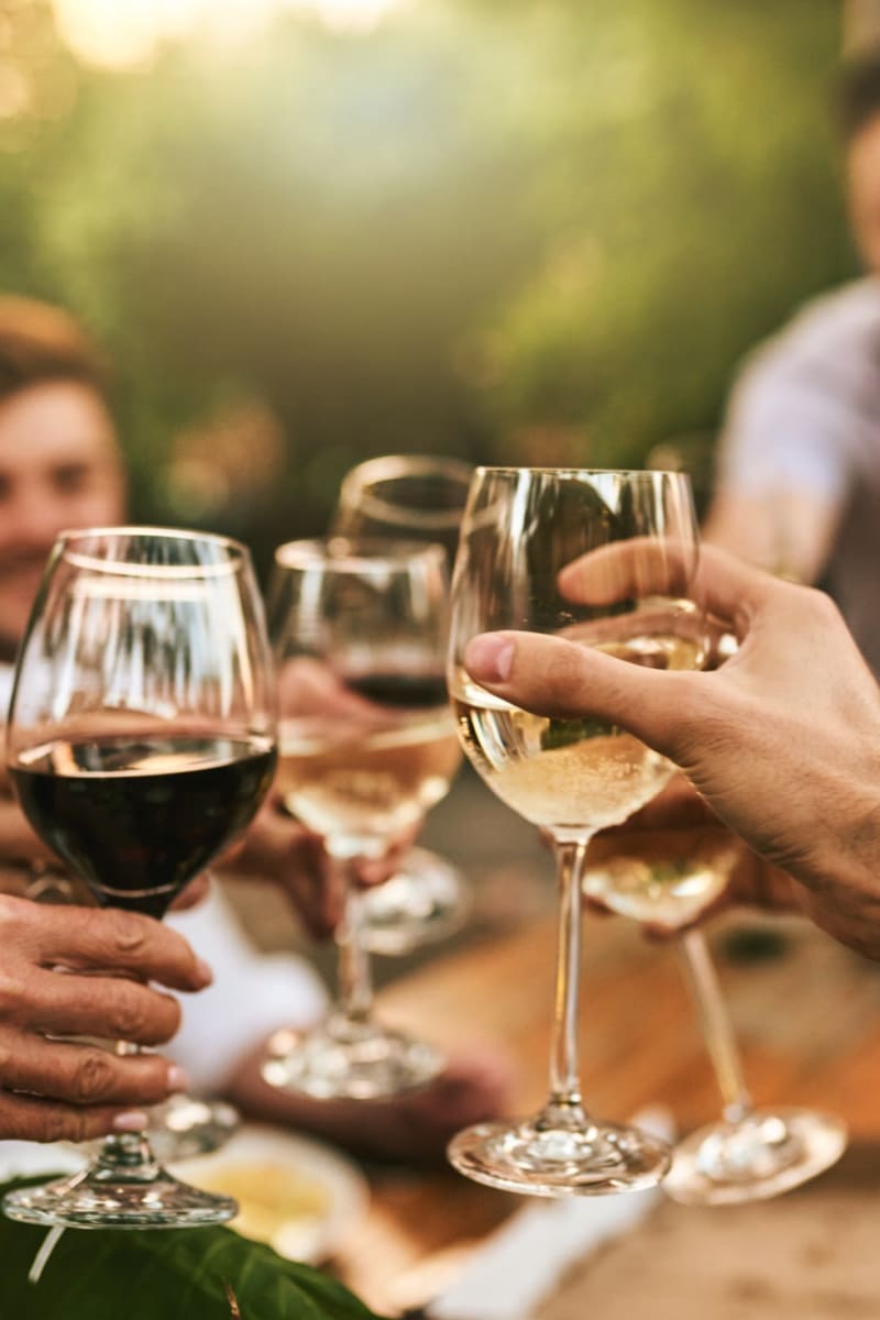 Friends cheering their glasses of wine near Scio at the Medical District in Chicago, Illinois