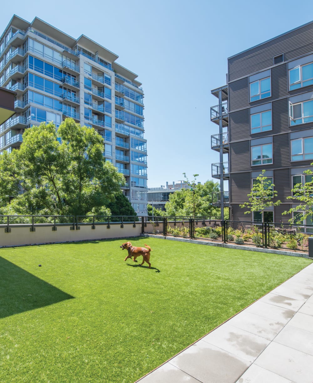 Modern lobby interior at 2900 on First Apartments in Seattle, Washington