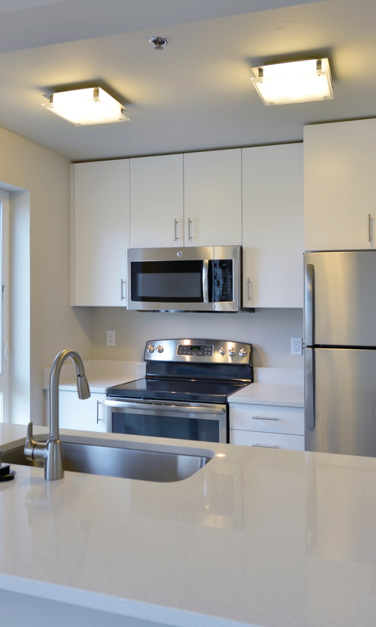 Modern kitchen with sleek, stainless-steel appliances and a dual-basin sink in a model home at 2900 on First Apartments in Seattle, Washington