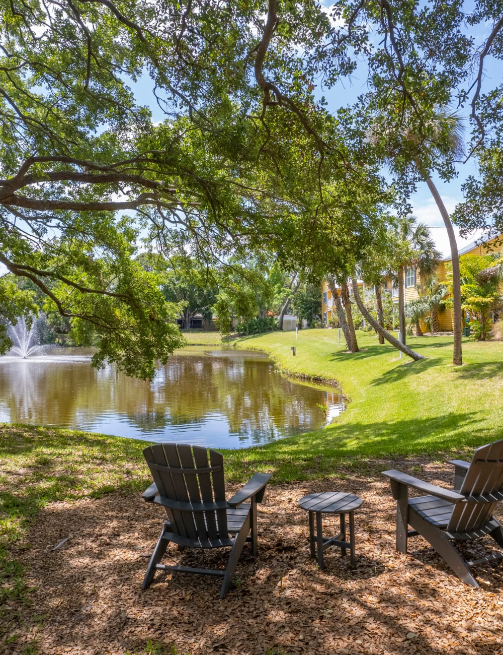 Lounge seating under a tree by the pond at Mode at Ballast Point in Tampa, Florida