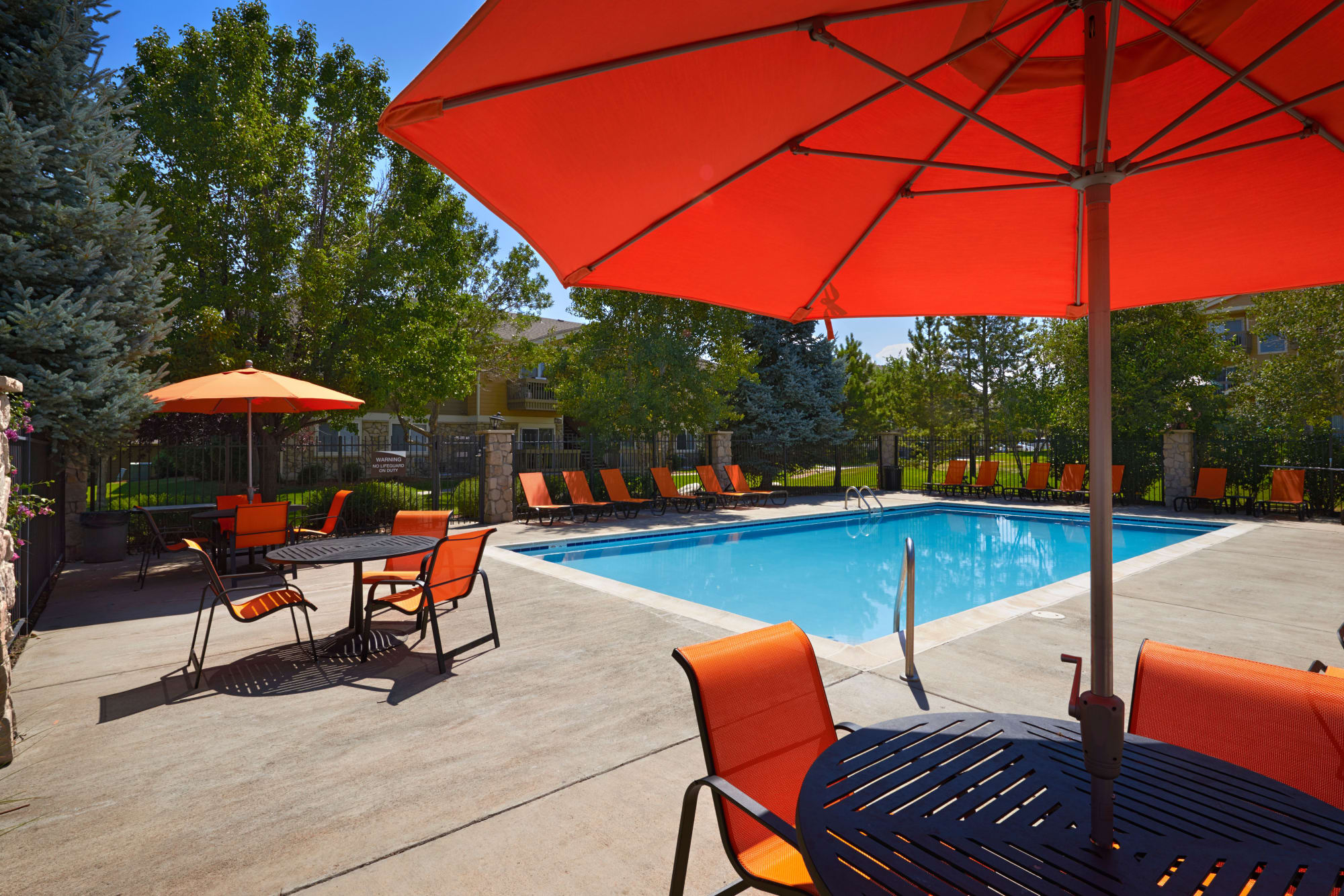 The pool surrounded by lush trees at Crossroads at City Center Apartments in Aurora, Colorado