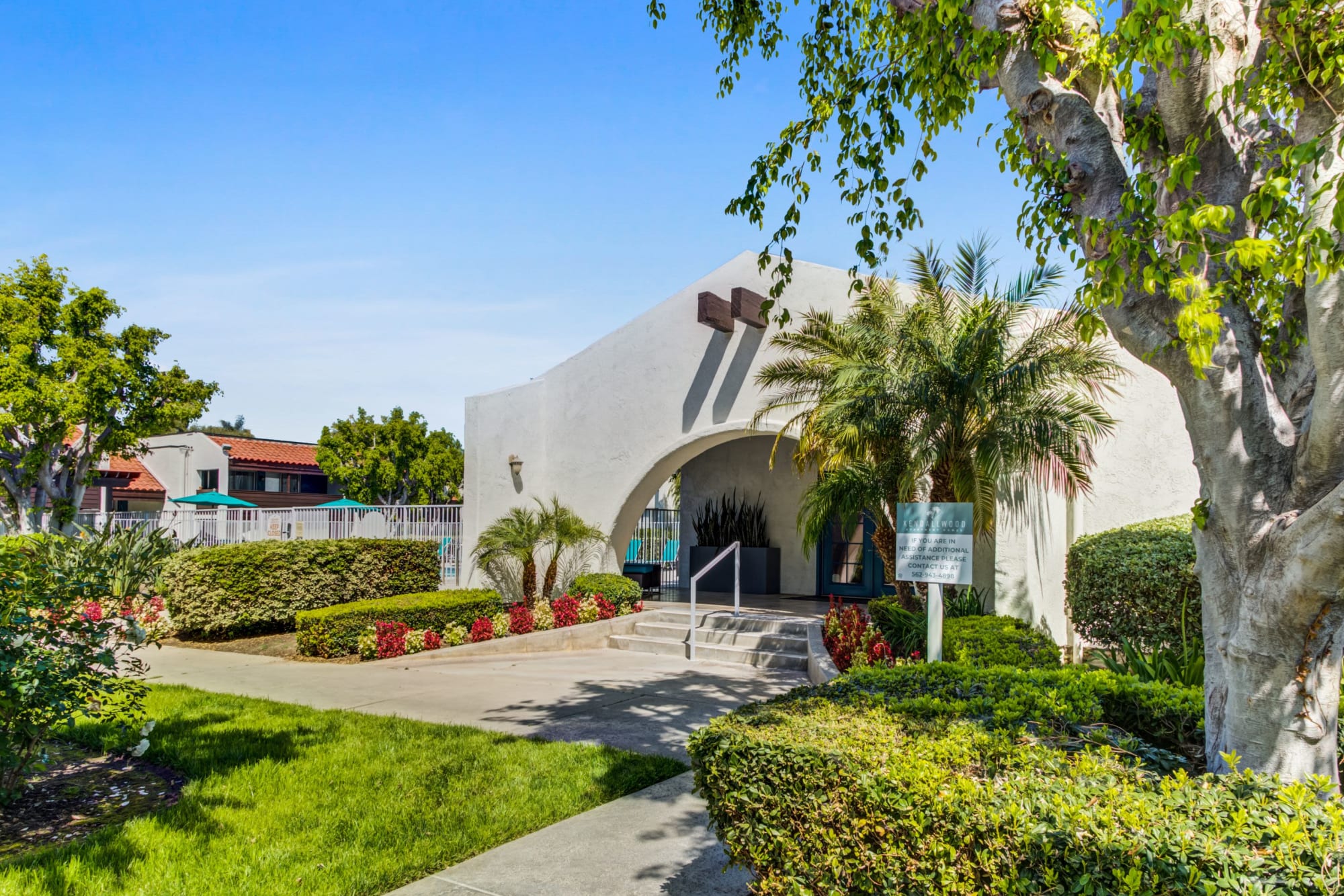 The leasing office entryway surrounded by lush palm trees at Kendallwood Apartments in Whittier, California