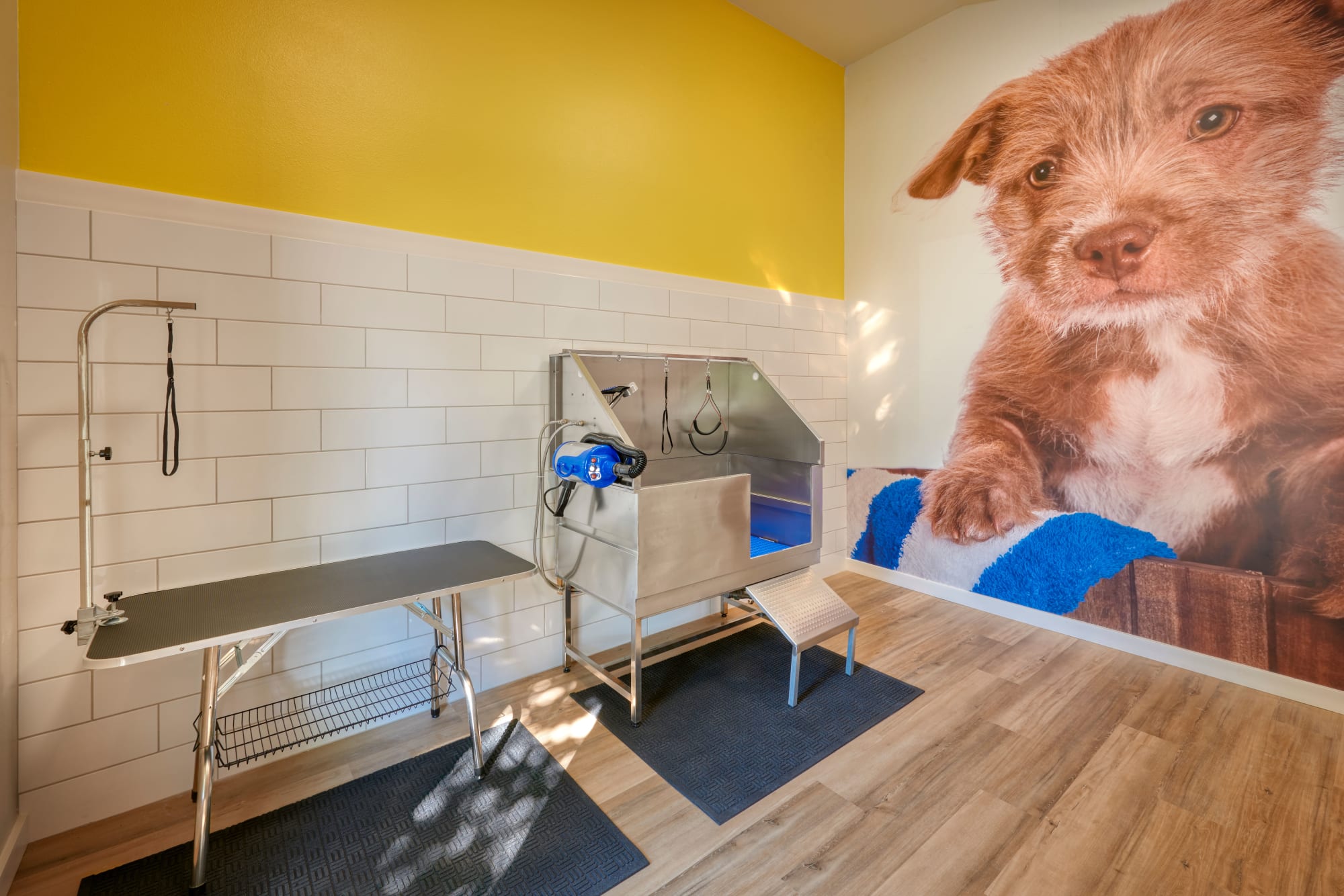 Dog Wash Room of Bluesky Landing Apartments in Lakewood, Colorado