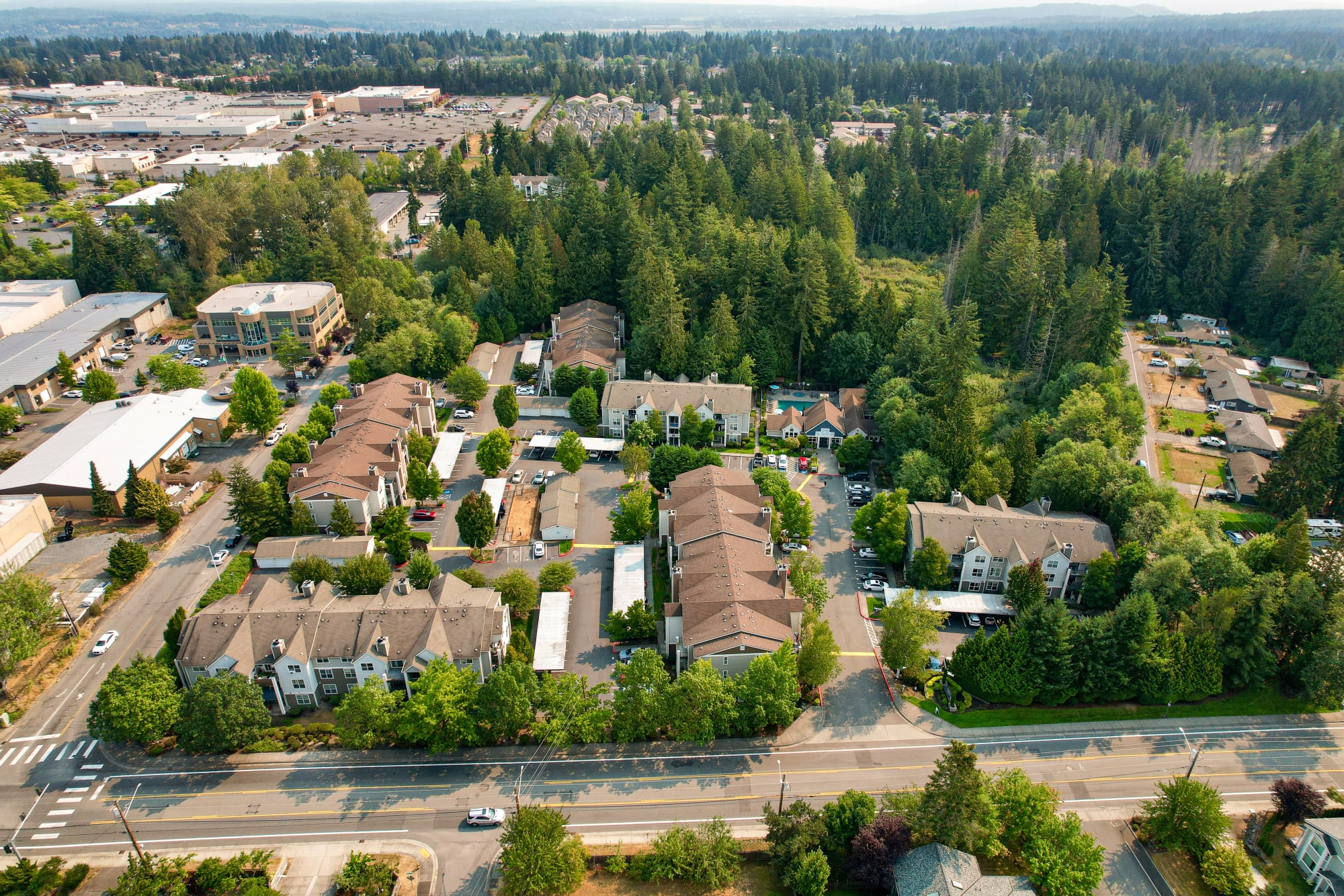 Aerial view of the property and surrounding area at Wildreed Apartments in Everett, Washington