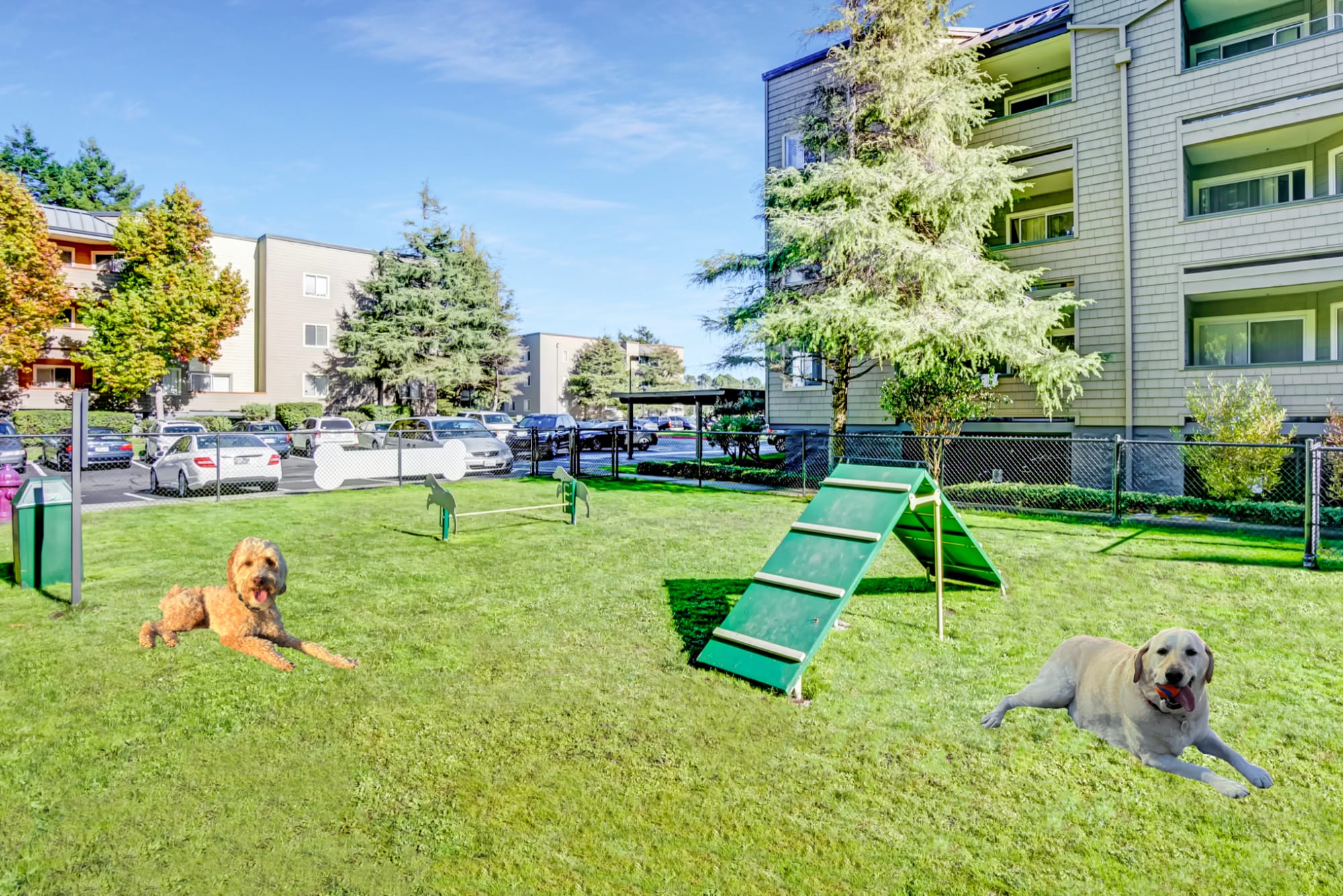 The dog park, one of Serramonte Ridge Apartment Homes's numerous community amenities.