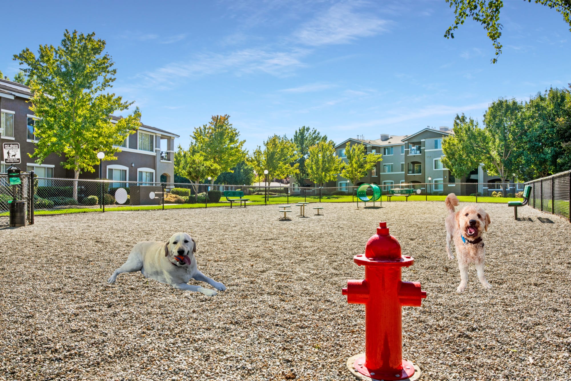 Dog Park at Miramonte and Trovas in Sacramento, California