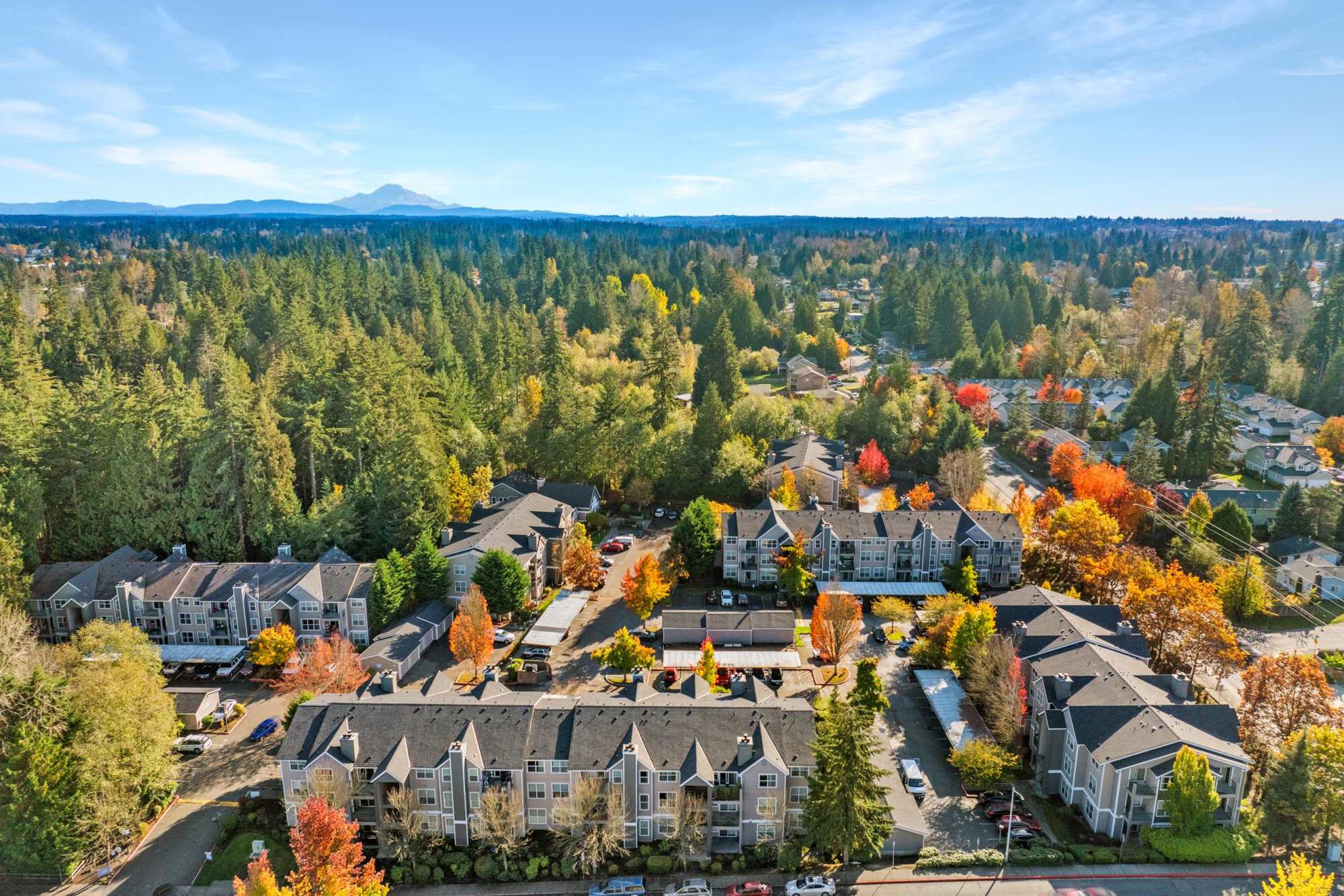 Aerial view of the property and surrounding area at Wildreed Apartments in Everett, Washington
