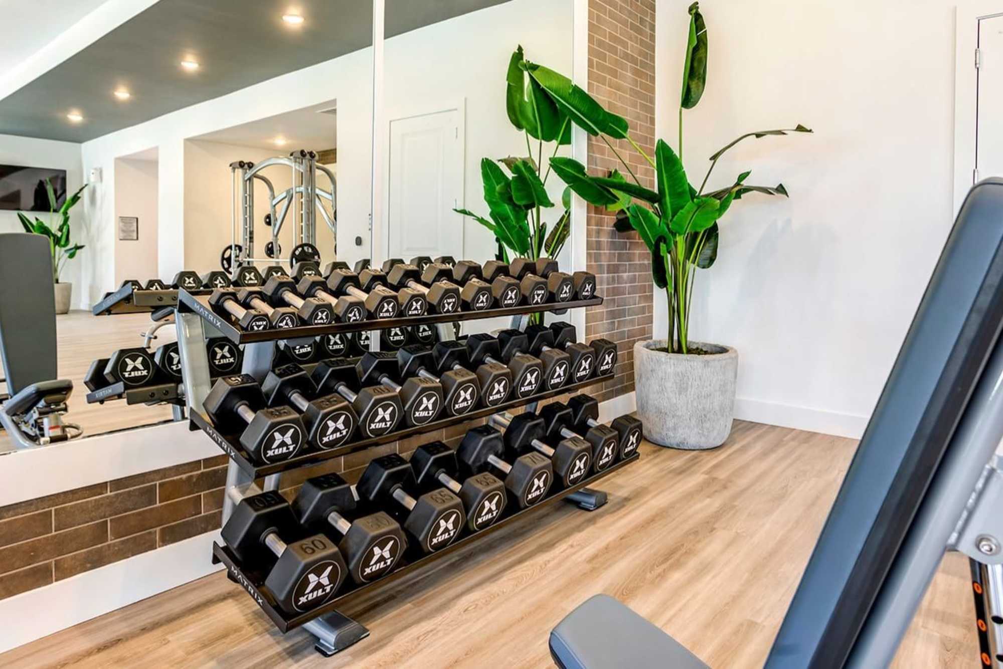 Fitness center with dumbell rack at Wildgrass in Riverview, Florida