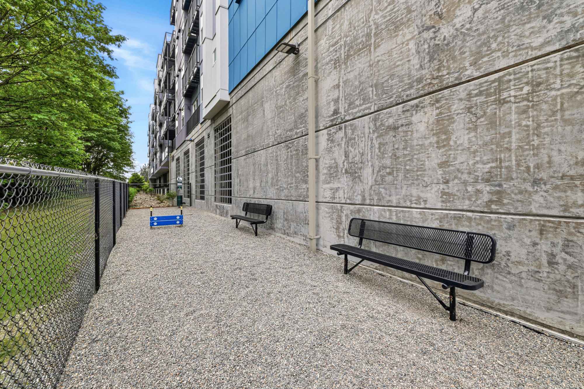 Dog Run with Dog Toy and Bench at Radiate in Redmond, Washington
