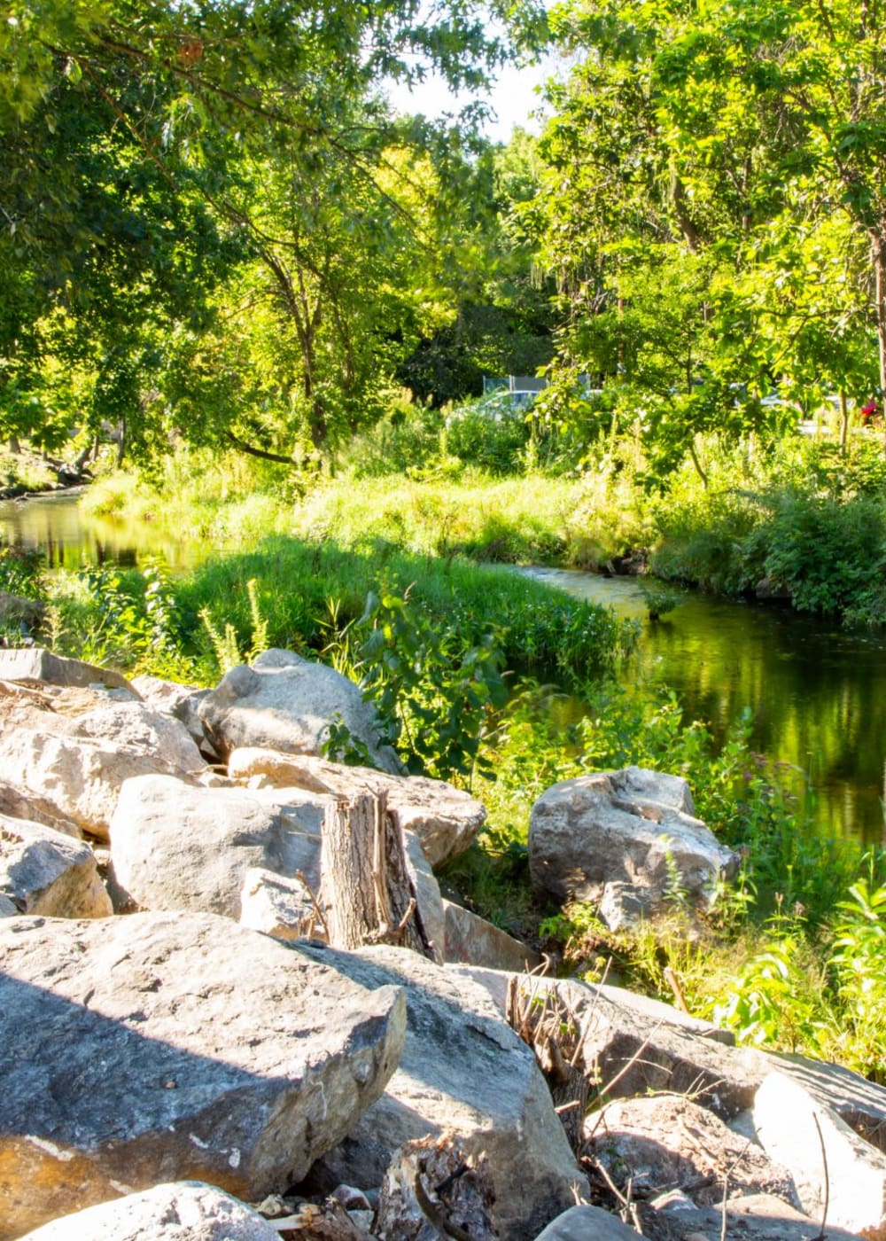 Cool creek area at The Falls at 124 Water in Leominster, Massachusetts