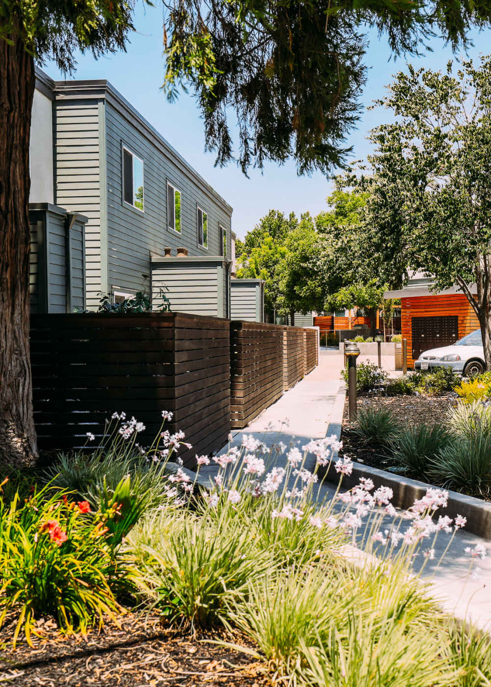 Path outside of Waterstone Terrace in Benicia, California