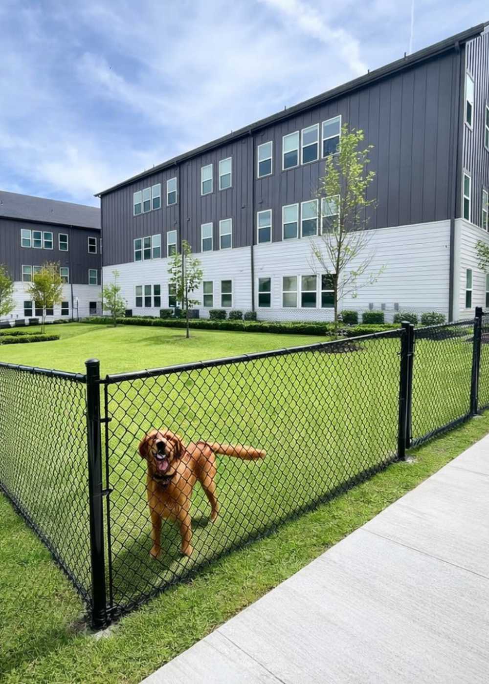 Staircase in the hallway at Pure Lowell Apartments in Lowell, Arkansas