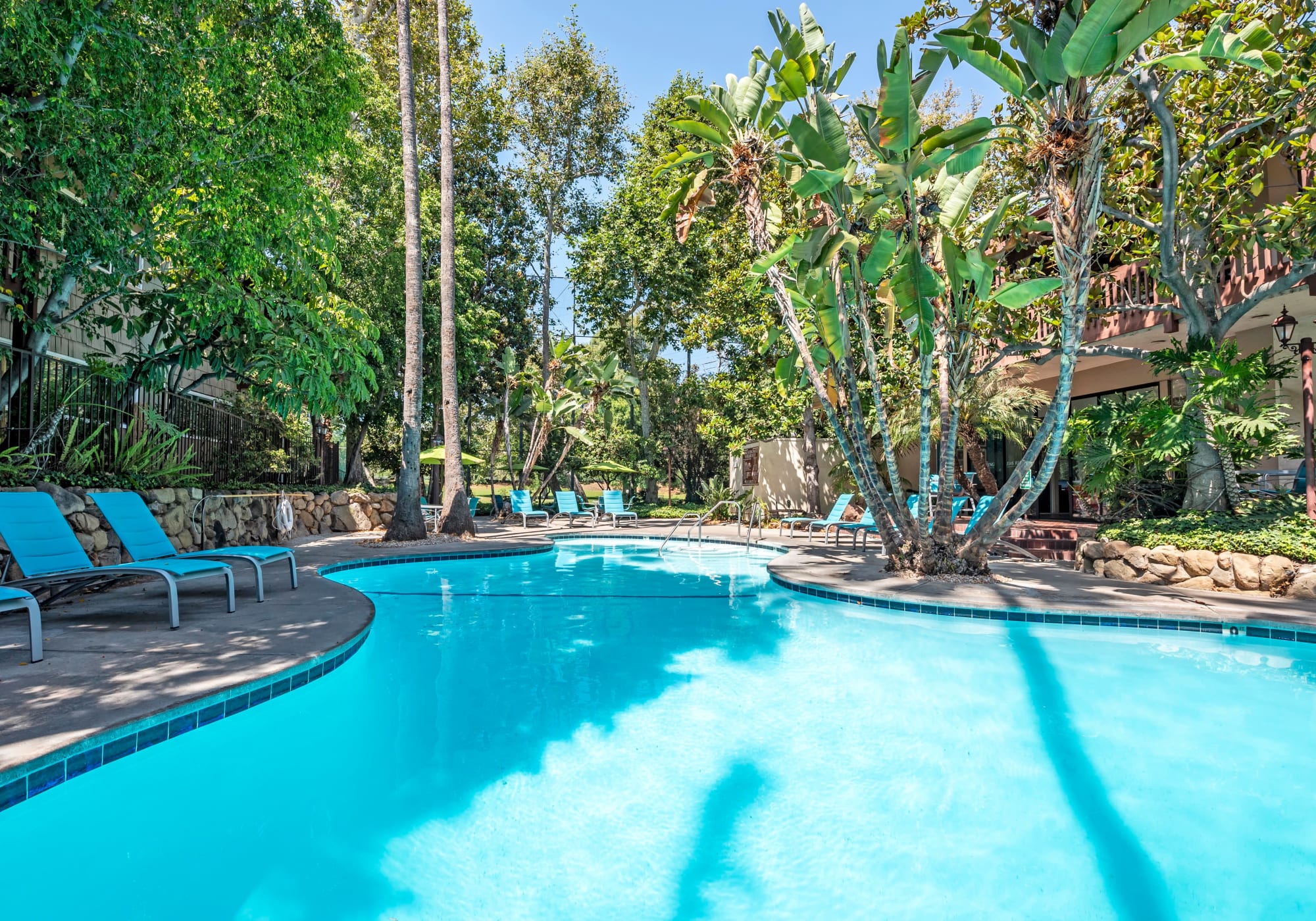 Resort-style swimming pool surrounded by mature trees at Rancho Los Feliz in Los Angeles, California
