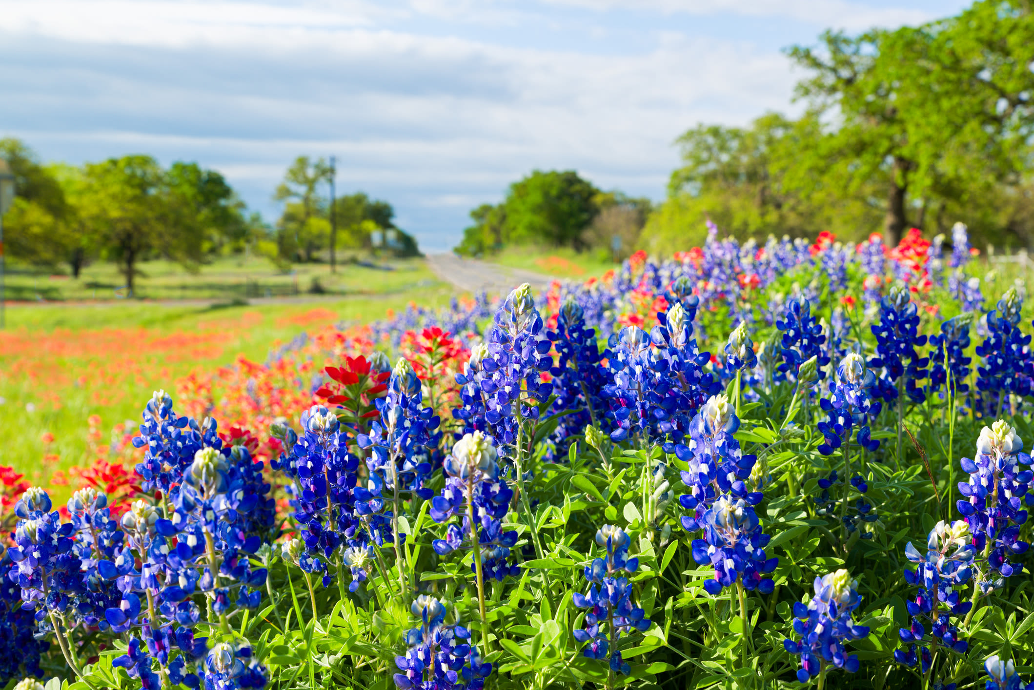 Reviews at All Seasons Storage Centers in College Station, Texas