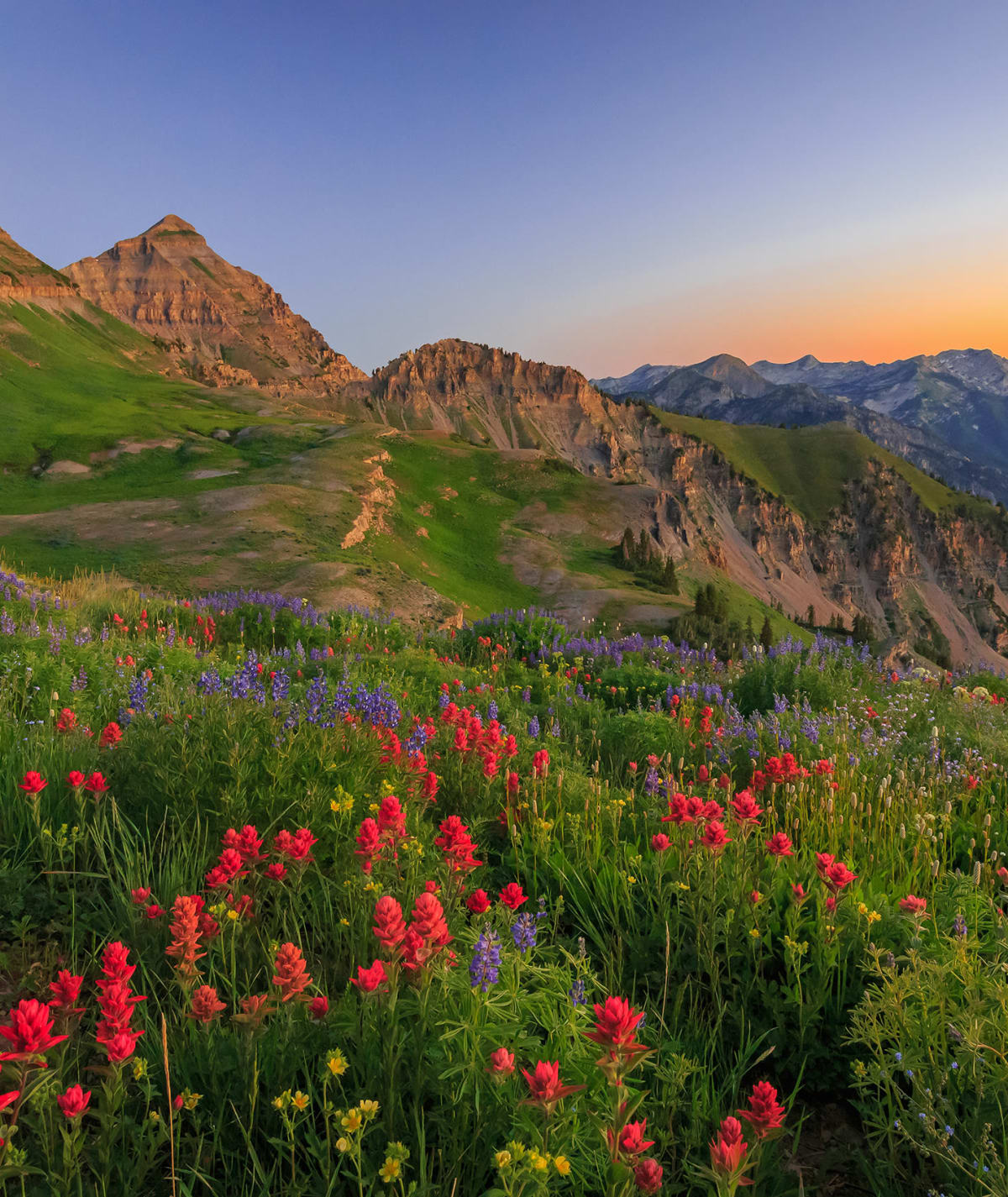 Wasatch Mountains near Alpine Meadows Apartments in Sandy, Utah