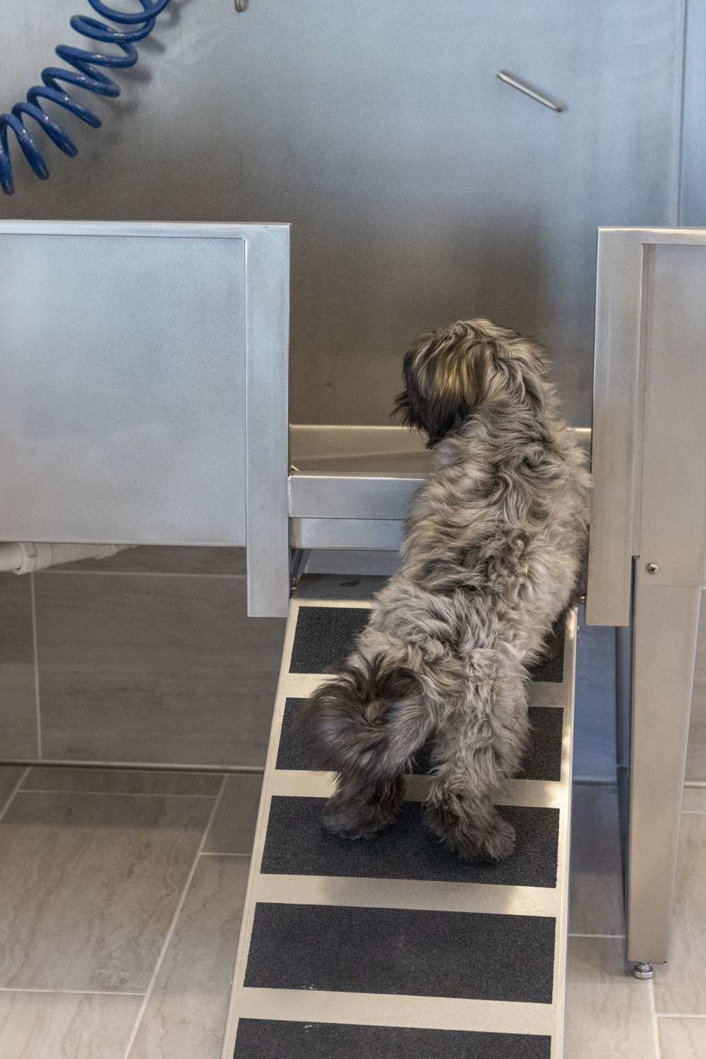 Pet washing area at Avion Apartments in Jacksonville, Florida