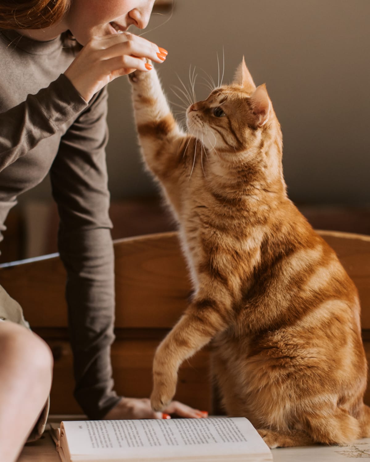 Cats are welcome at Seven17 Lehman in Houston, Texas
