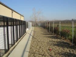 Exterior view of bark avenue at University Pet Resort in Merced, California