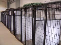 Bark avenue accommodations at University Pet Resort in Merced, California
