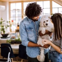 Couple with their poodle at Bellrock Summer Street in Houston, Texas