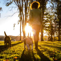 Resident walking her pups at The Cordelia in Fort Walton Beach, Florida