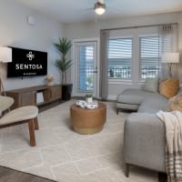 A furnished apartment living room at Sentosa Riverview in Riverview, Florida